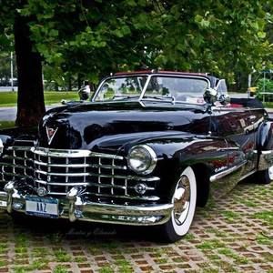 Meet your Posher, Fadhel